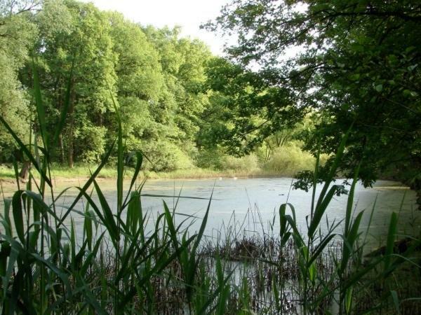 Ferienhaus Bindow Heidesee Buitenkant foto